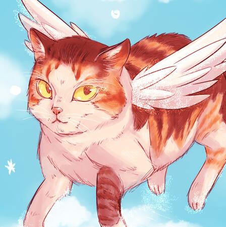 Angel Cat